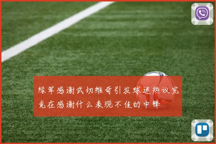 绿军感谢武切维奇引发球迷热议究竟在感谢什么表现不佳的中锋